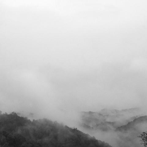 Fog rising from forested mountains, into a cloudy sky.