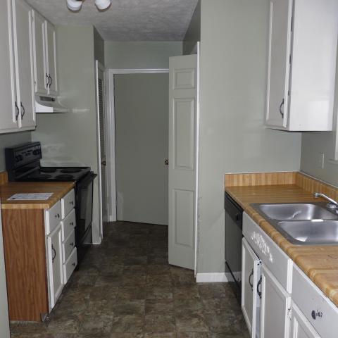The dark, cramped, rotting, disgusting kitchen (with flooring sandwich).