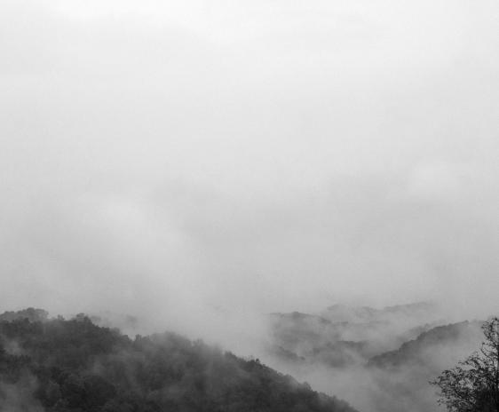 Fog rising from forested mountains, into a cloudy sky.